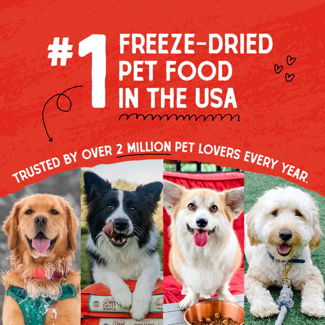 Stella & Chewy Meal Mixer Dog Food - Turkey - Dog.Dog.Cat.