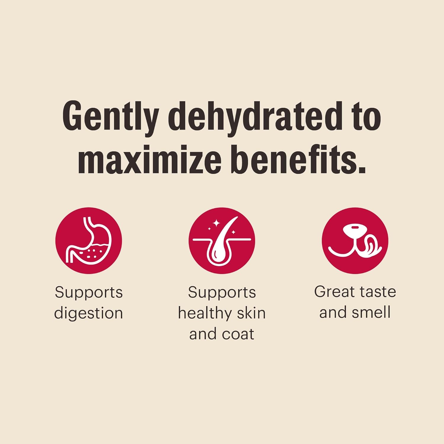 The Honest Kitchen Human Grade Dehydrated Grain Free Dog Food – Complete Meal or Dog Food Topper – Fish 10 lb (makes 40 lbs) - Dog.Dog.Cat.