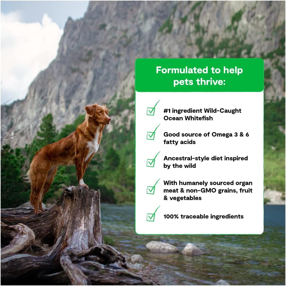 Open Farm Rawmix Ancient Grain - Wild Ocean Recipe - Dog.Dog.Cat.