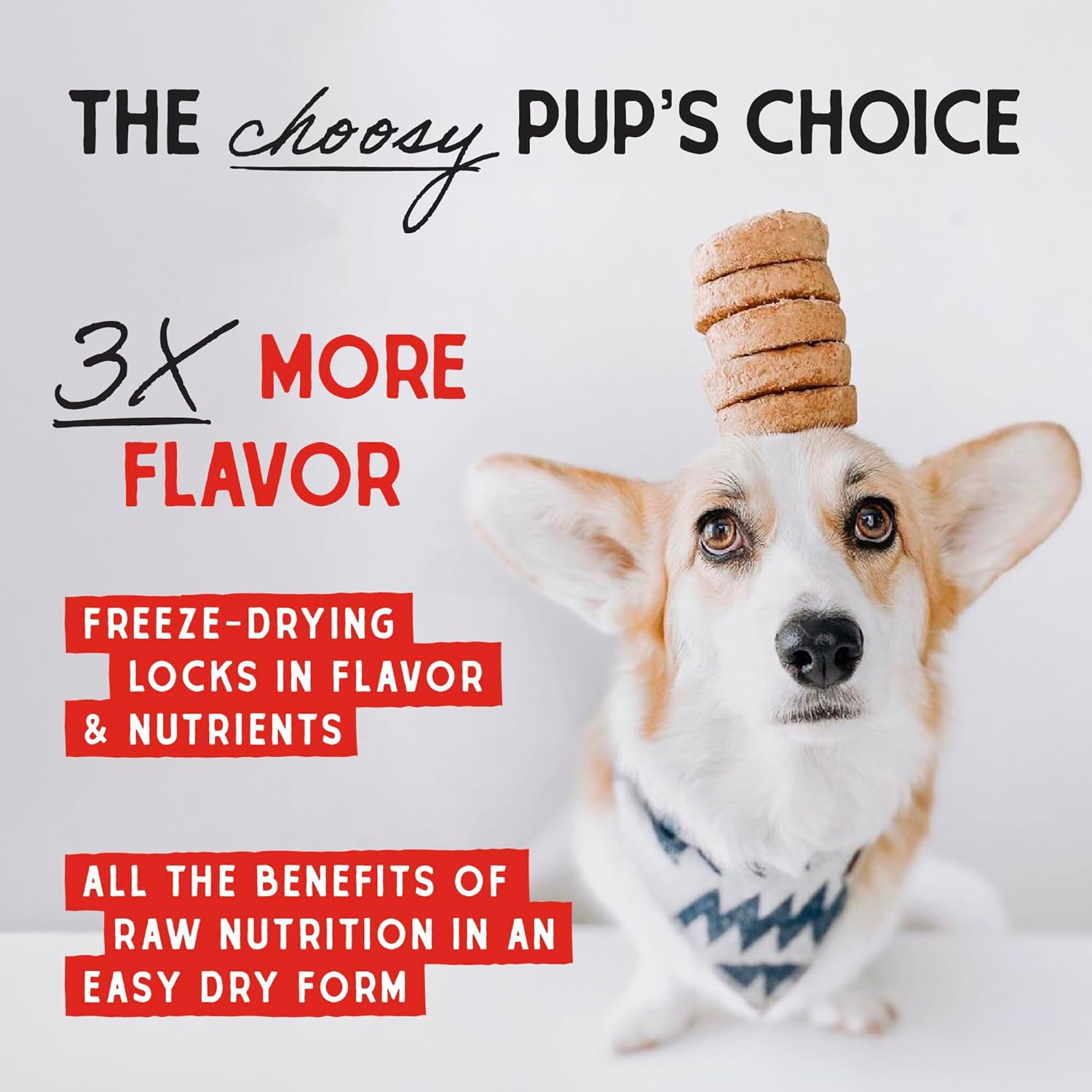 Stella & Chewy Freeze Dried Dog Food - Lamb : 25 oz - Dog.Dog.Cat.