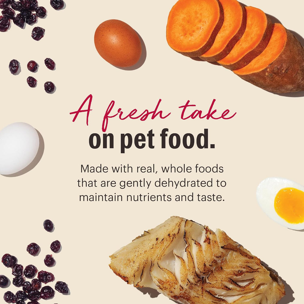 The Honest Kitchen Human Grade Dehydrated Grain Free Dog Food – Complete Meal or Dog Food Topper – Fish 10 lb (makes 40 lbs) - Dog.Dog.Cat.