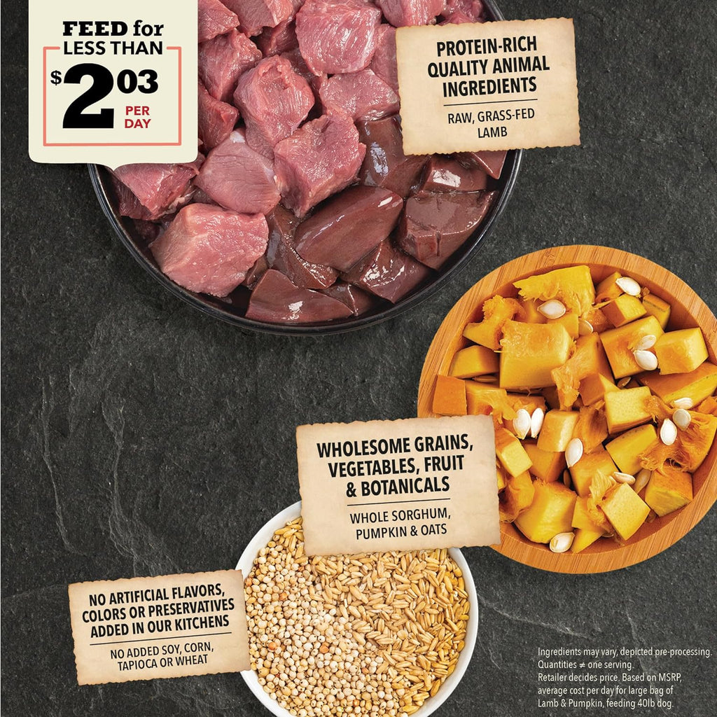 ACANA Wholesome Grains Dry Dog Food, Lamb & Pumpkin Recipe - Dog.Dog.Cat.