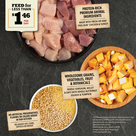 Acana Free-Run Poultry & Grains Recipe Dry Dog Food - Dog.Dog.Cat.