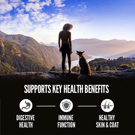 Orijen Amazing Grains Dog Food - Original - Dog.Dog.Cat.