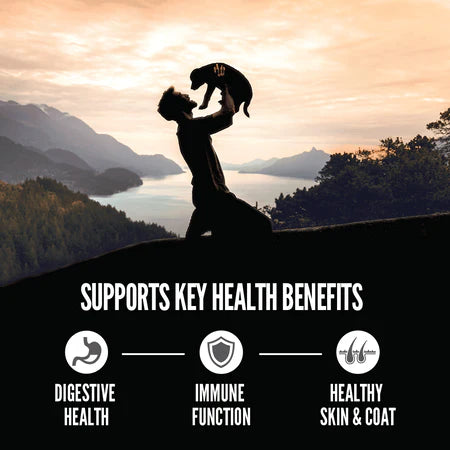 Orijen Amazing Grains Dog Food-Large Breed Puppy : 22.5 LB - Dog.Dog.Cat.