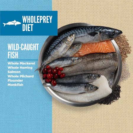 Orijen Amazing Grains Dog Food - 6 Fish - Dog.Dog.Cat.