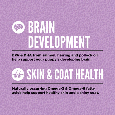 Orijen Dry Dog Food Large Breed Grain Free Puppy USA - Dog.Dog.Cat.