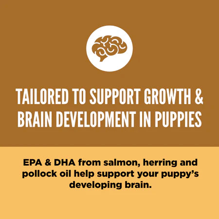 Orijen Dry Dog Food-Puppy USA - Dog.Dog.Cat.