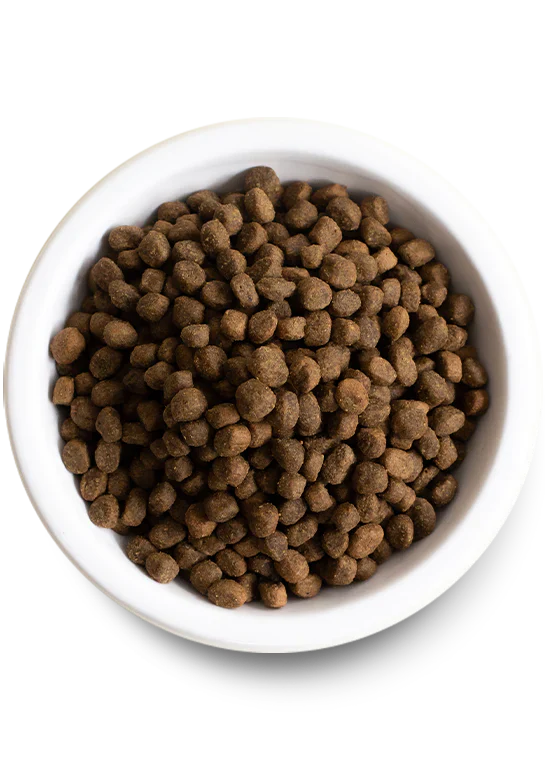 Open Farm Grain Free Kibble Dog Food Wild Salmon 22 LB Bag - Dog.Dog.Cat.