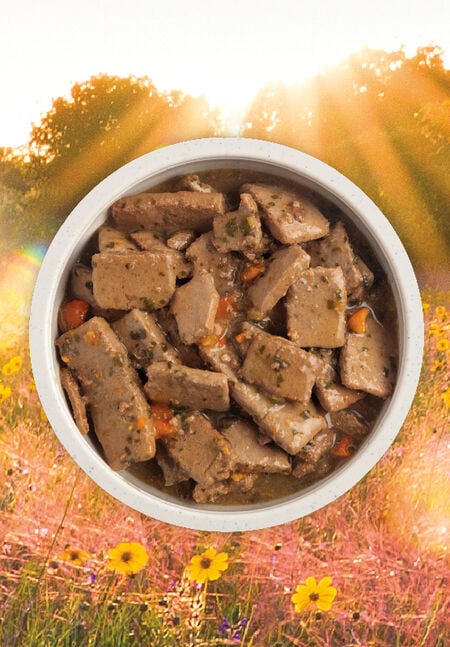 Acana Canned Bone Broth - Beef, Duck, Lamb, Pork & Puppy Recipes - 12.8 oz - Dog.Dog.Cat.