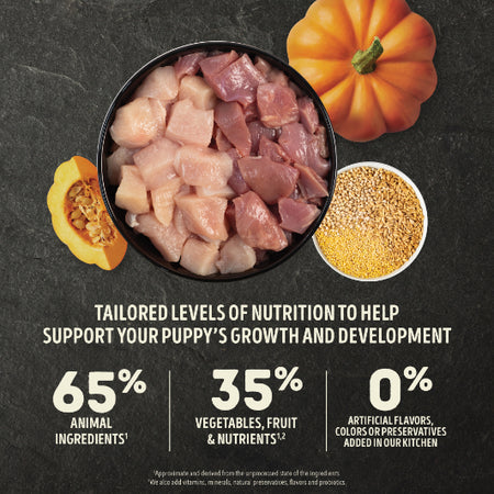 Orijen Amazing Grains Dog Food-Large Breed Puppy : 22.5 LB - Dog.Dog.Cat.