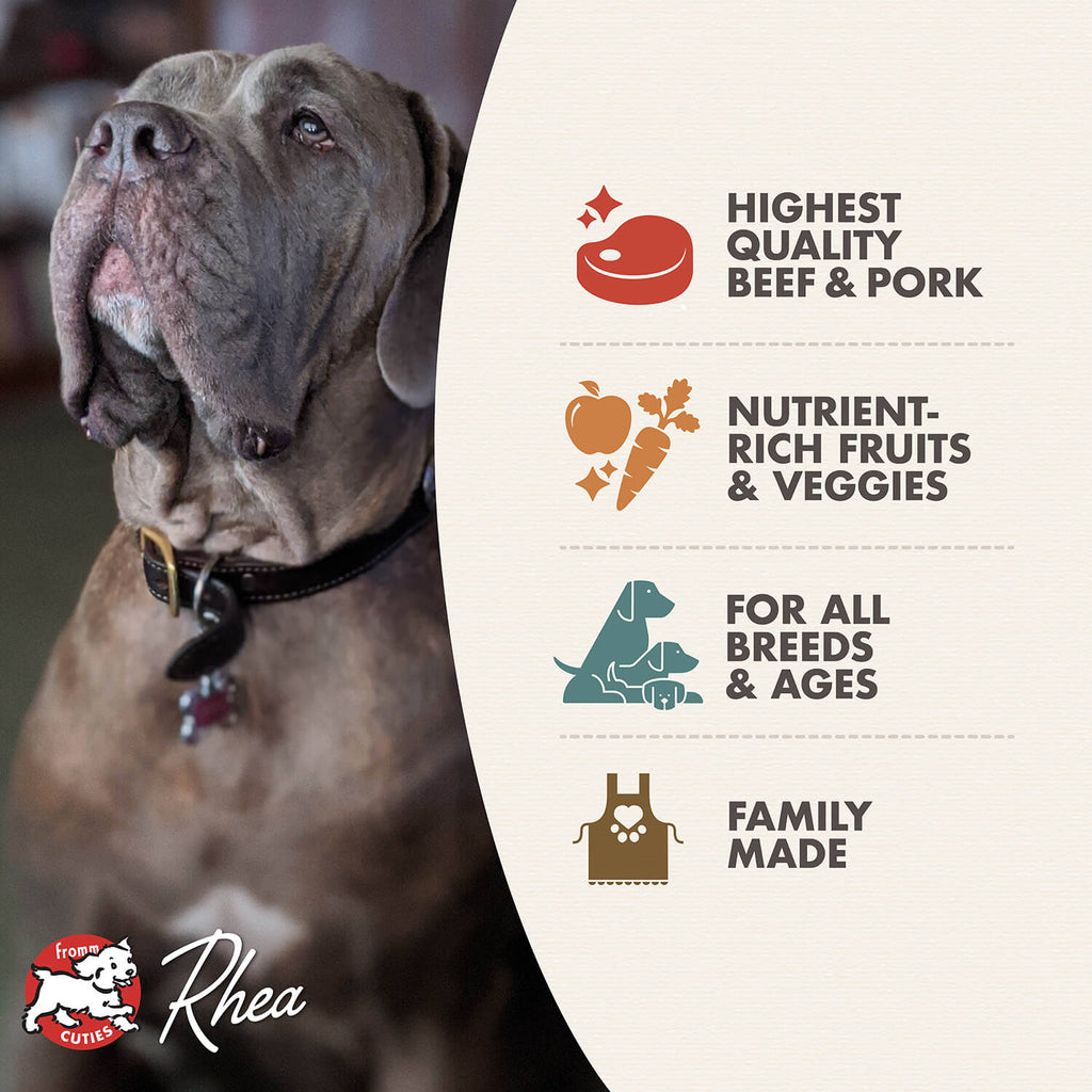 Fromm 4 Star Dry Dog Food - Beef Frittata - Dog.Dog.Cat.