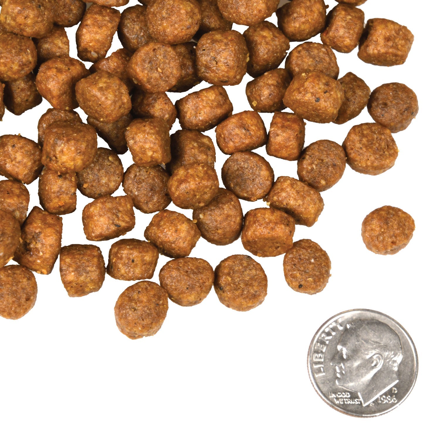 Fromm 4 Star Dry Dog Food - Beef Frittata - Dog.Dog.Cat.