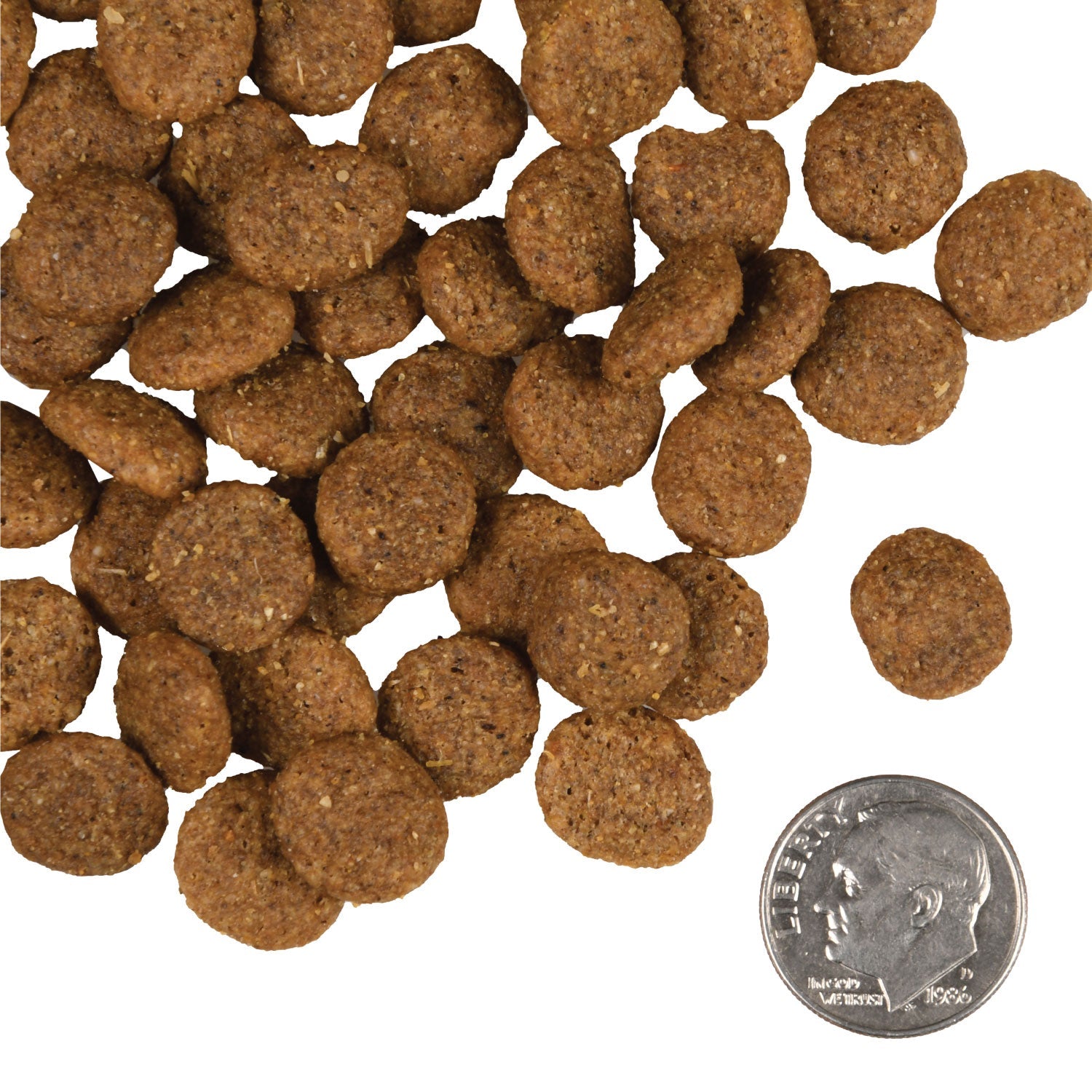 Fromm Gold Dry Dog Food -Senior  Reduced Activities - Dog.Dog.Cat.